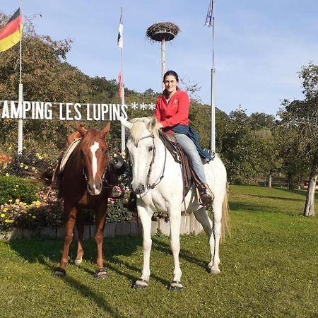 Camping Les Lupins Hotel Seppois-le-Bas Exterior photo