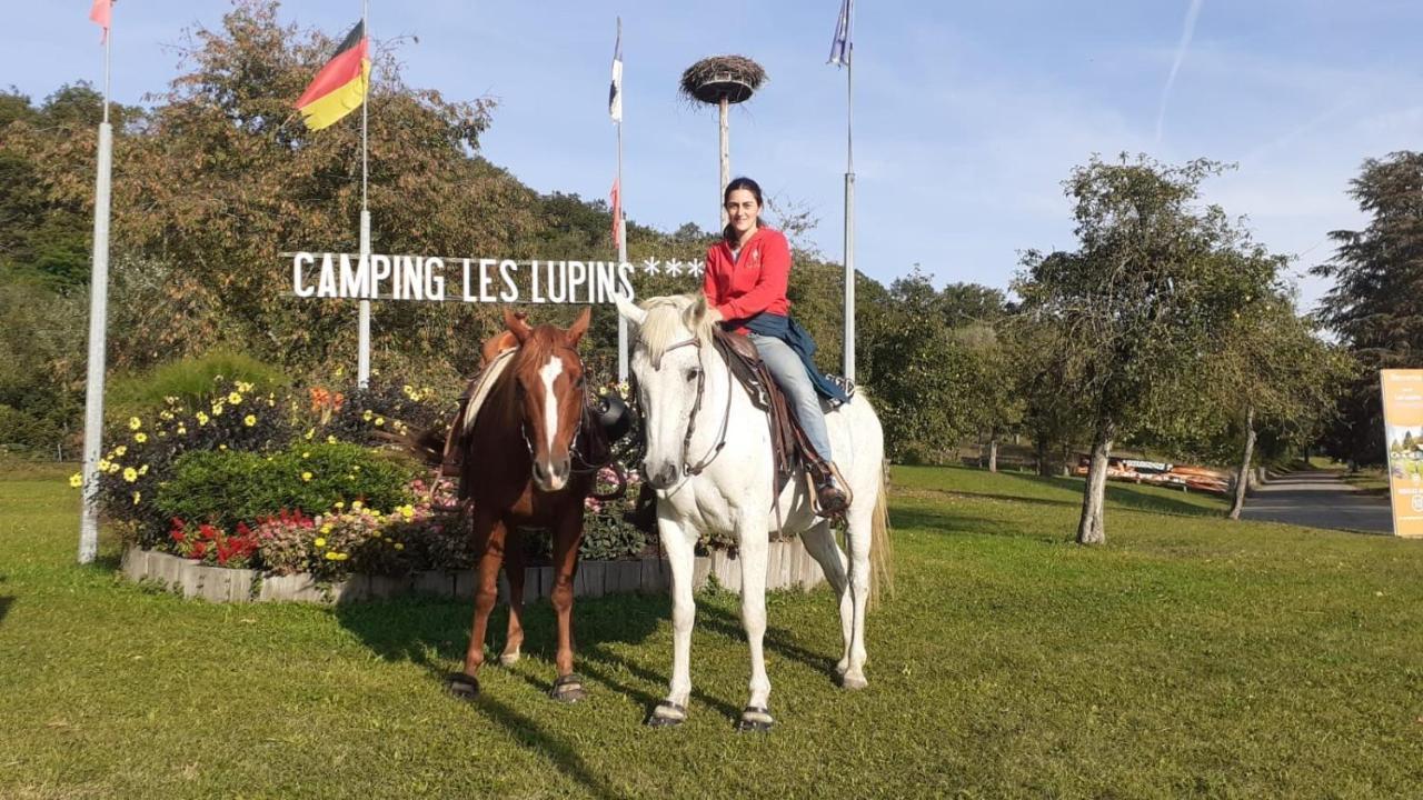 Camping Les Lupins Hotel Seppois-le-Bas Exterior photo