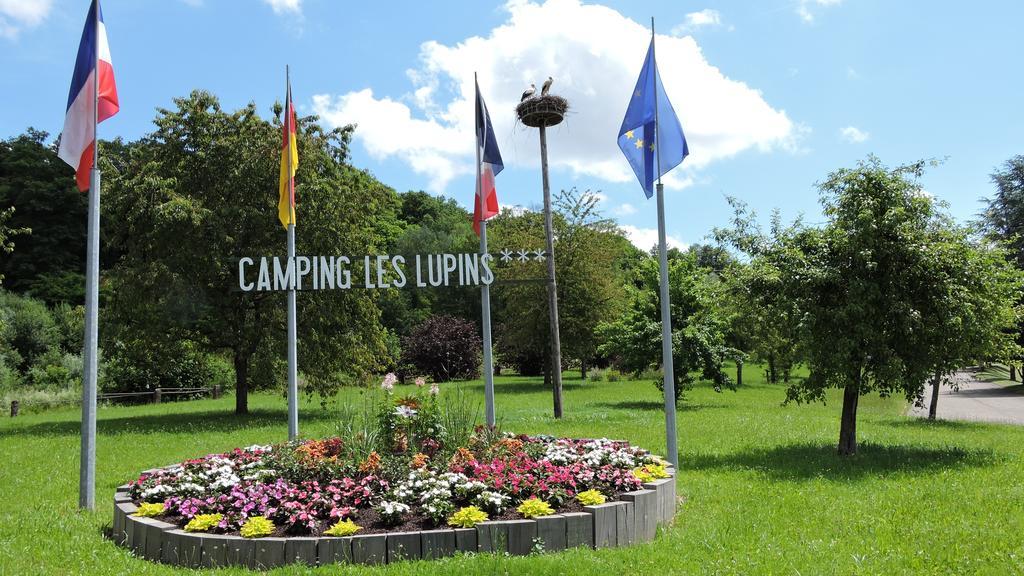 Camping Les Lupins Hotel Seppois-le-Bas Exterior photo